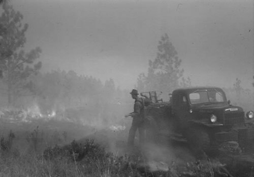 Historic photo of a man fighting a forest fire