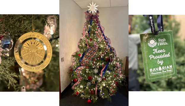 Fresh From Florida Christmas Tree.jpg
