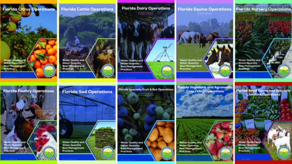 The covers of 10 BMP manuals