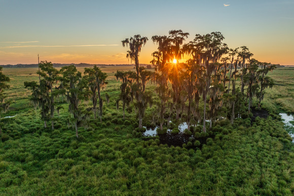 A pasture with a creek running through it at sunset