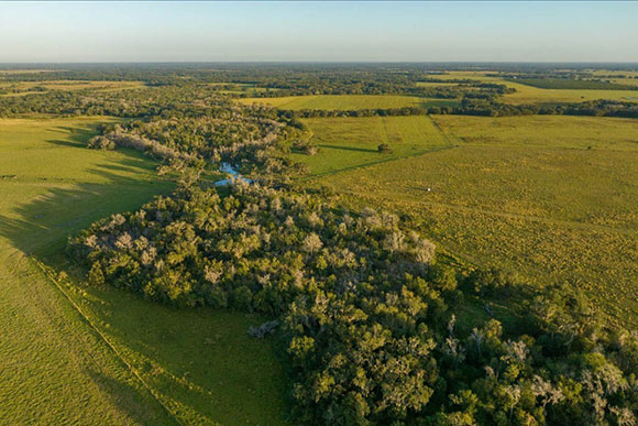 An aerial view of a Florida ranch, with pasture, fields and forest