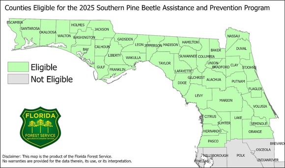 Counties eligible for the 2025 Southern Pine Beetle Assistance and Prevention Program