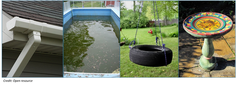 A gutter, an untreated pool, a tire swing and a birdbath