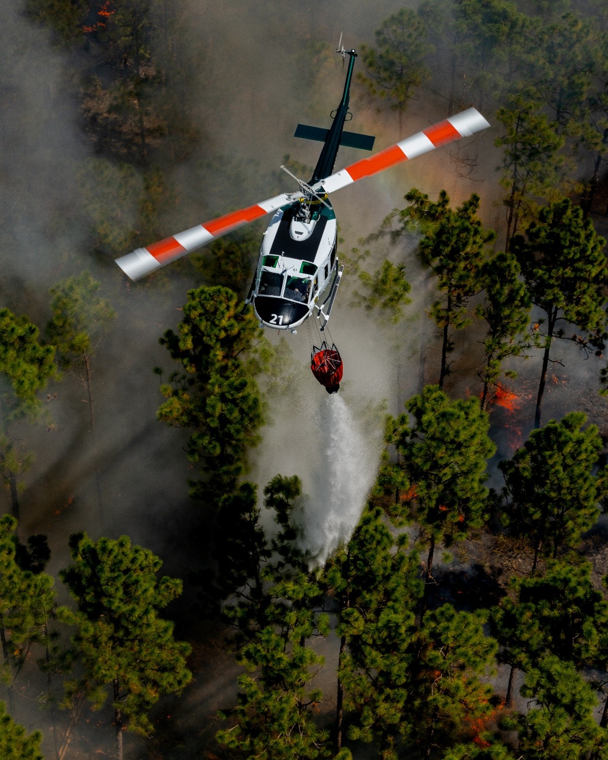 A helicopter dropping water on a forest fire