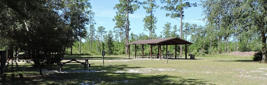 A pavilion and picnic tables at Old Jennings Recreation Area at Jennings State Forest