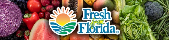 Fresh From Florida Banner