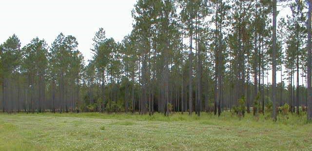 hunting property in Baker County