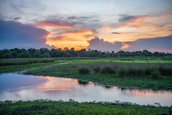 Sunrise over a pasture and pond