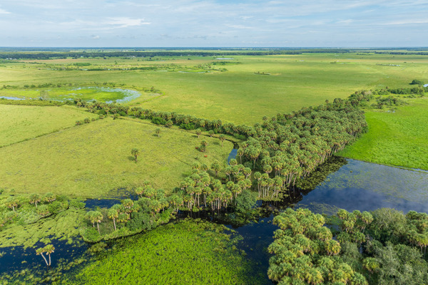 Aerial view of a sprawling ranch with pasture and marshes