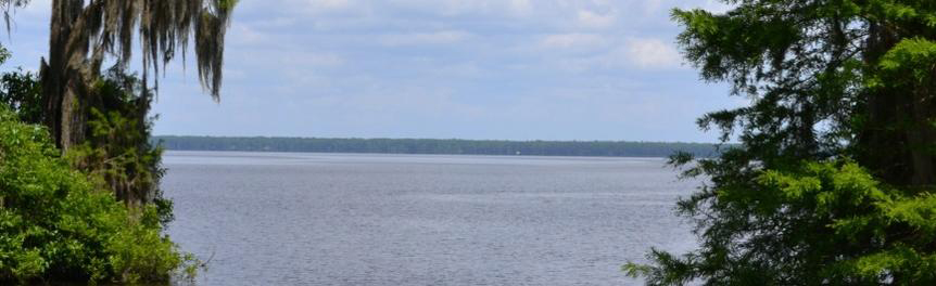 A lake surrounded by forest
