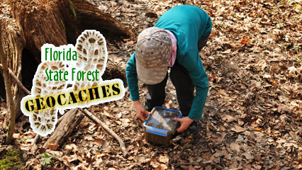 Florida State Forest Geocaches logo and a child finding a geocache in a forest