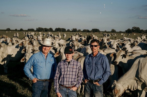 Three men surrounded by cattle in a pasture