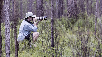 A person taking a picture in a forest