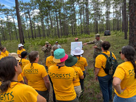A group of teachers in matching yellow T-shirts being led on a tour through a pine forest
