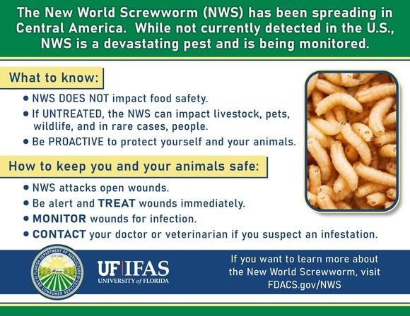 nws.jpg