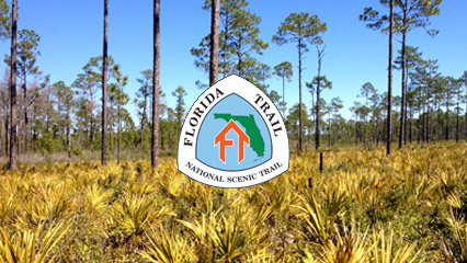 Florida National Scenic Trail logo surrounded by pine forest