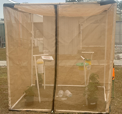 A mesh cage in a grassy area