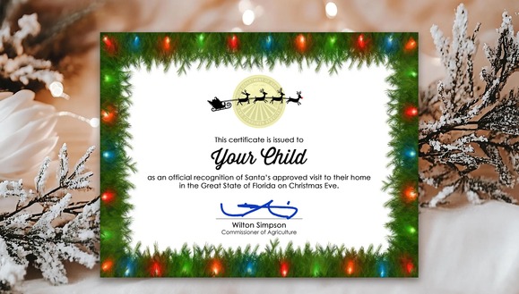A Christmas certificate