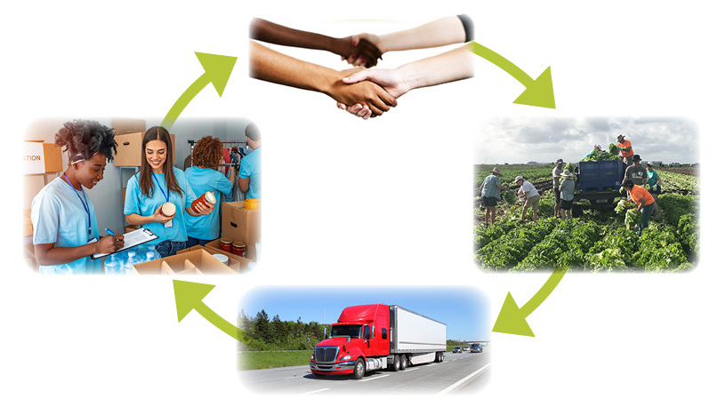 Graphic showing produce going from the field to a truck to a food bank