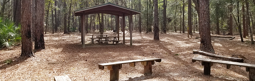 Hammock Campground at Jennings State Forest