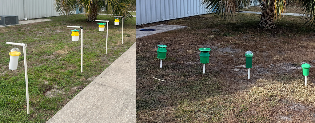 Insect traps undergoing testing outdoors