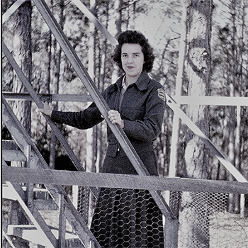 Forest Service employee standing on the stairs of a fire tower