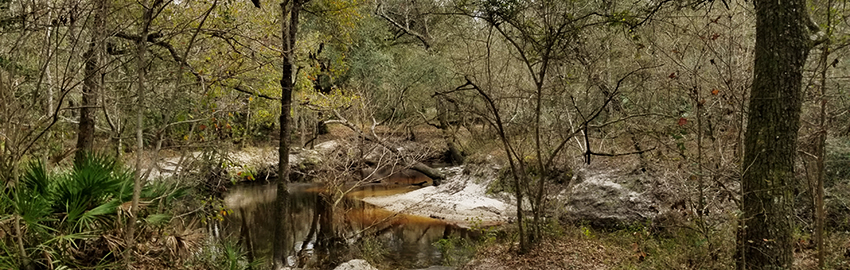 Knights Landing Recreation Area at Jennings State Forest