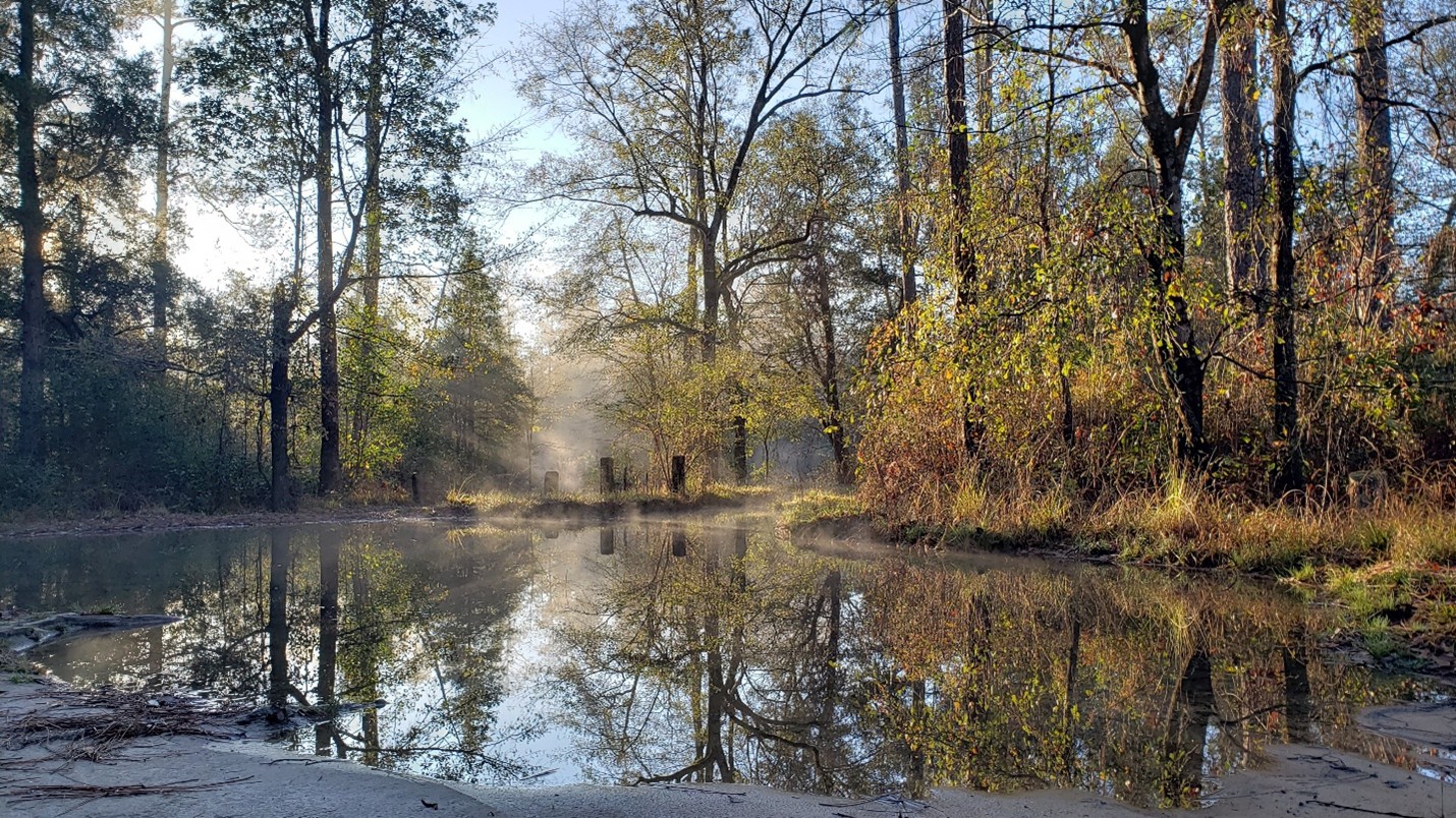 Mist rising off the water at sunrise