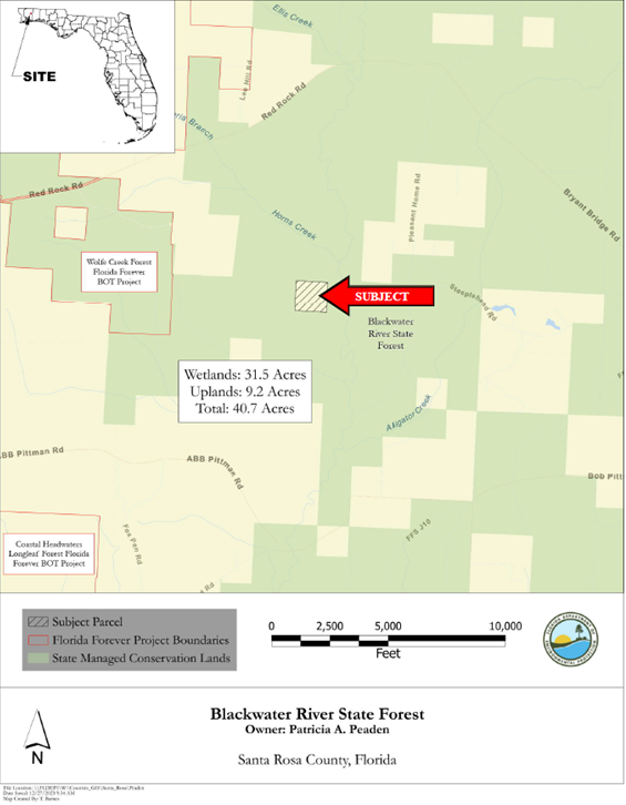 Location of the Peadon Tract at Wolfe Creek Forest