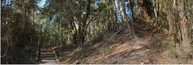 Sullivan Tract