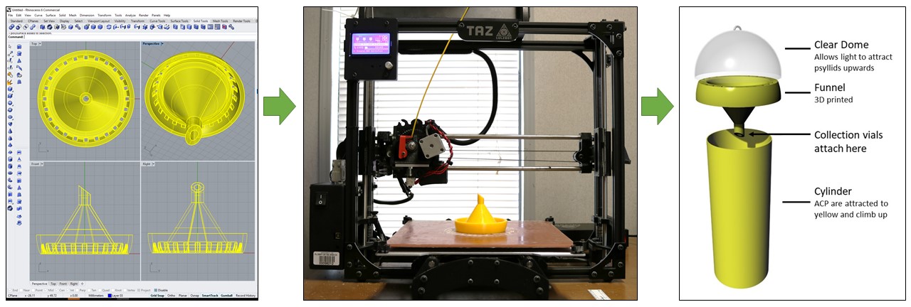 Rhinoceros modeling software, 3D printer, and psyllid trap components. . Clear dome allows light to attract psyllids upwards, funnel 3D printed, collection vials, cylinder. ACP are attracted to yellow and climb up.