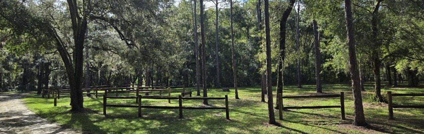 A green, inviting campground shaded by trees