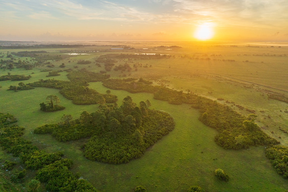 Aerial of pasture at sunrise