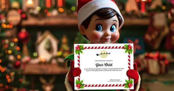 Personalized Certificate.jpg