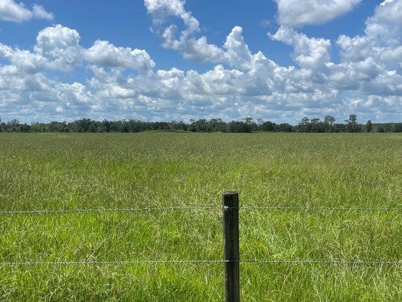 Green Pastures