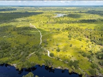 Aerial view of river and forest