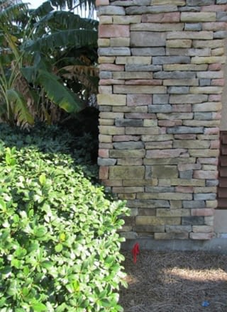 A hedge touching a house