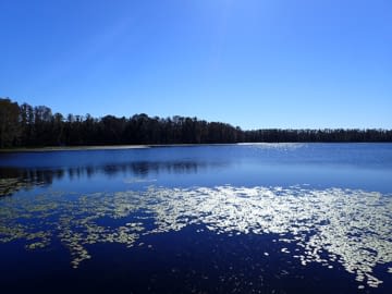 A lake under a blue sky