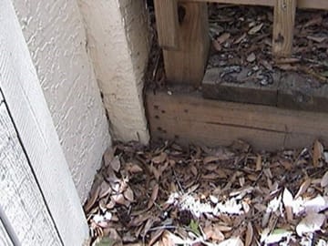 Wood and stucco in contact with the ground