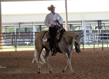 A man riding a horse in an arena