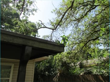 A gutter on a house
