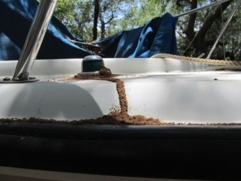 Formosan mud tube on infested boat