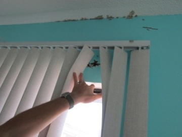 Termite damage around a window