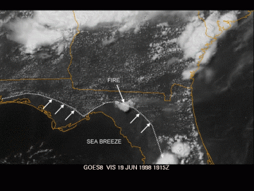 Radar image showing seabreeze line