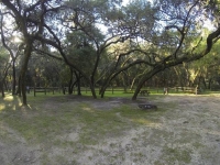 Croom Tract Buttgenbach Campground at CMA