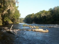 Great canoeing and kayaking on the Withlacoochee River