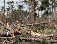 Photo: Hurricane Damage