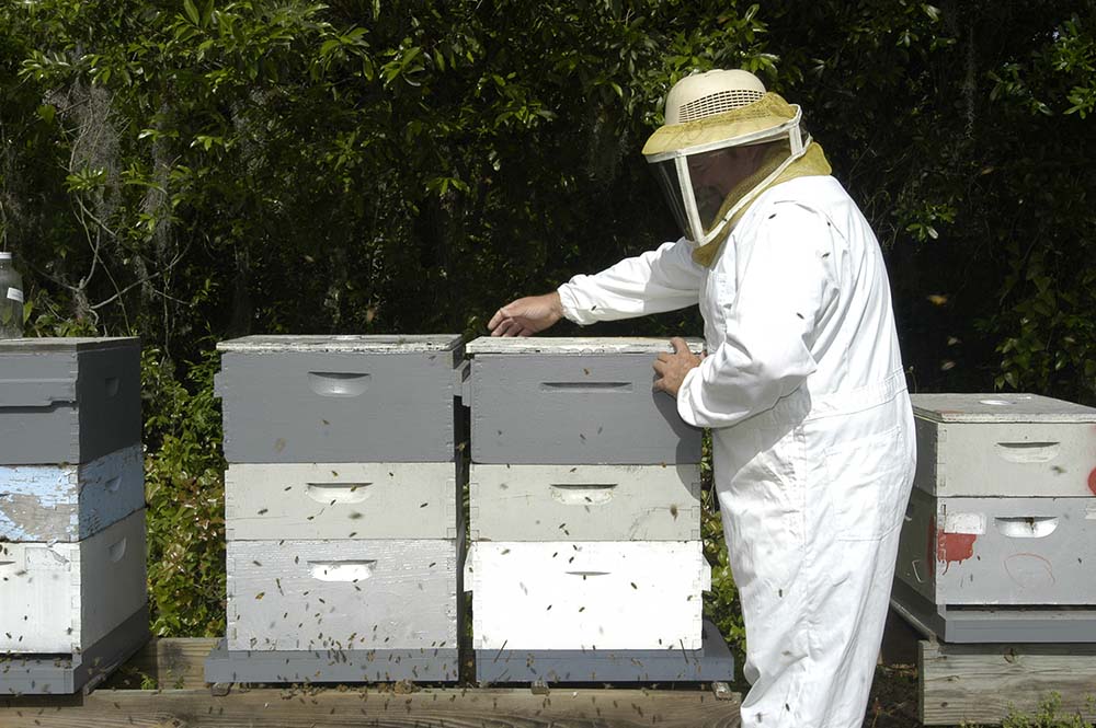 beekeeper with hives