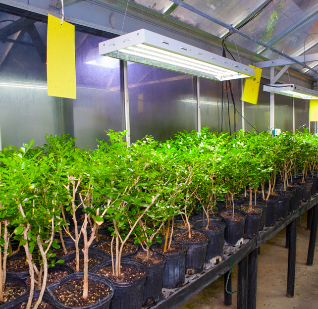 Biological Control