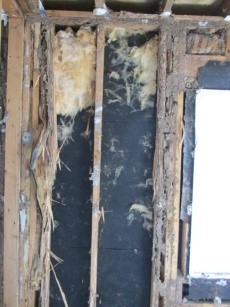 Interior structural damage by Formosan termites